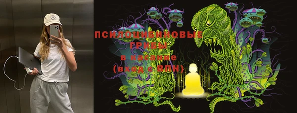 спайс Переславль-Залесский